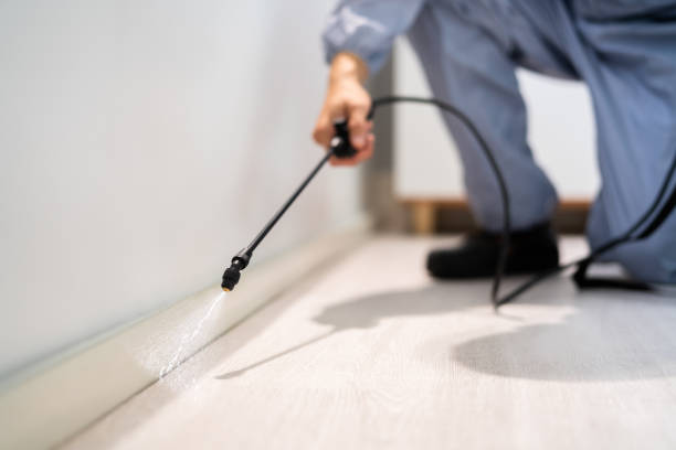 Licensed Pest Control service in Olathe, KS - Show Me Pest Control