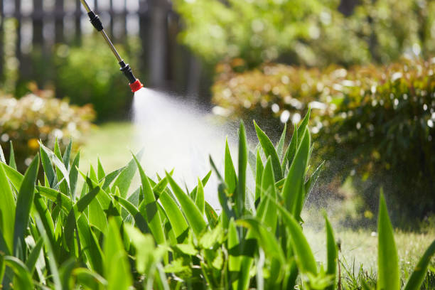 24/7 Emergency Mosquito Control experts in Olathe, KS