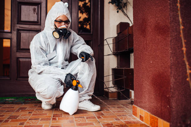 Reliable Mosquito Control contractor in Olathe, KS by Show Me Pest Control